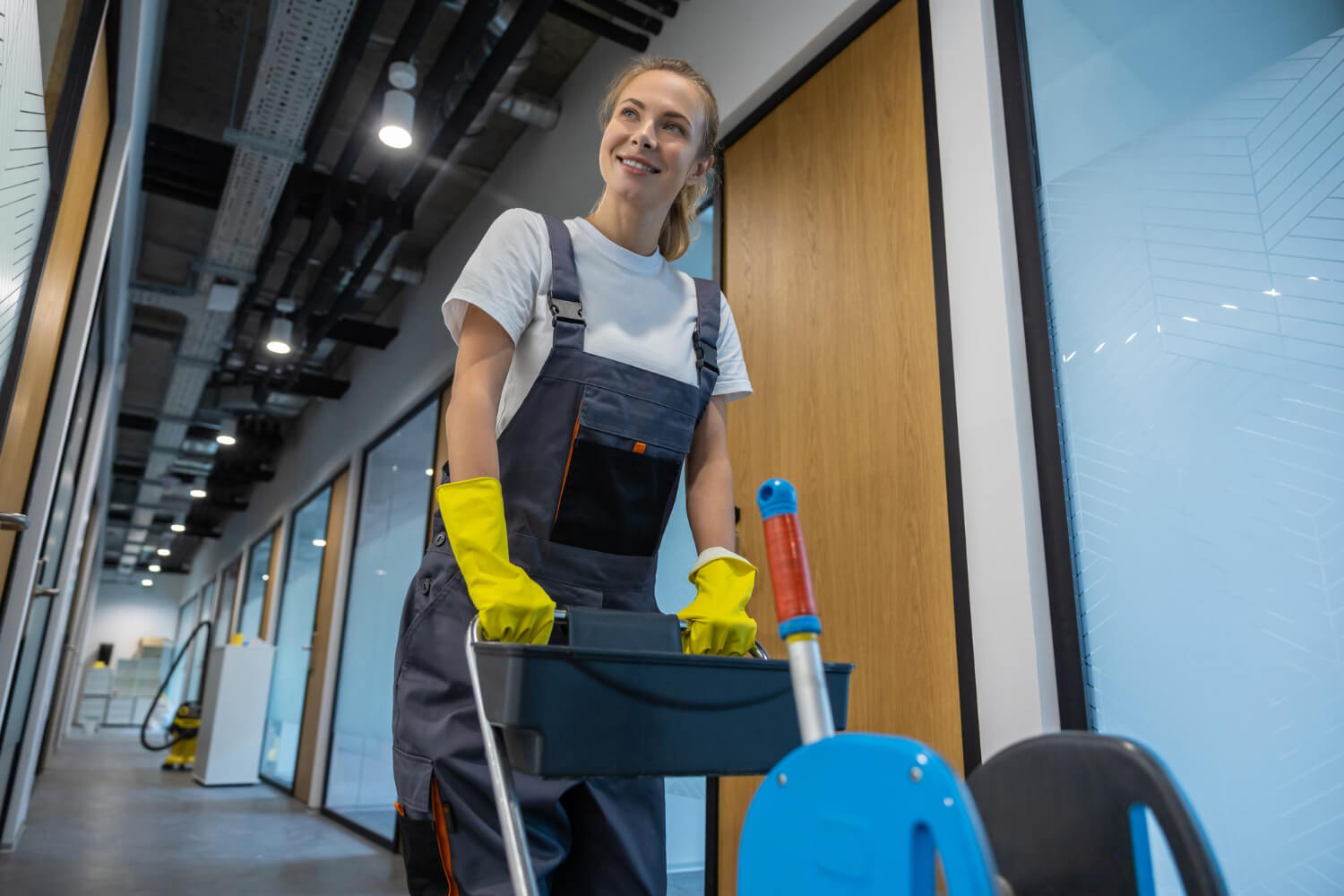 Servicios de limpieza profesional